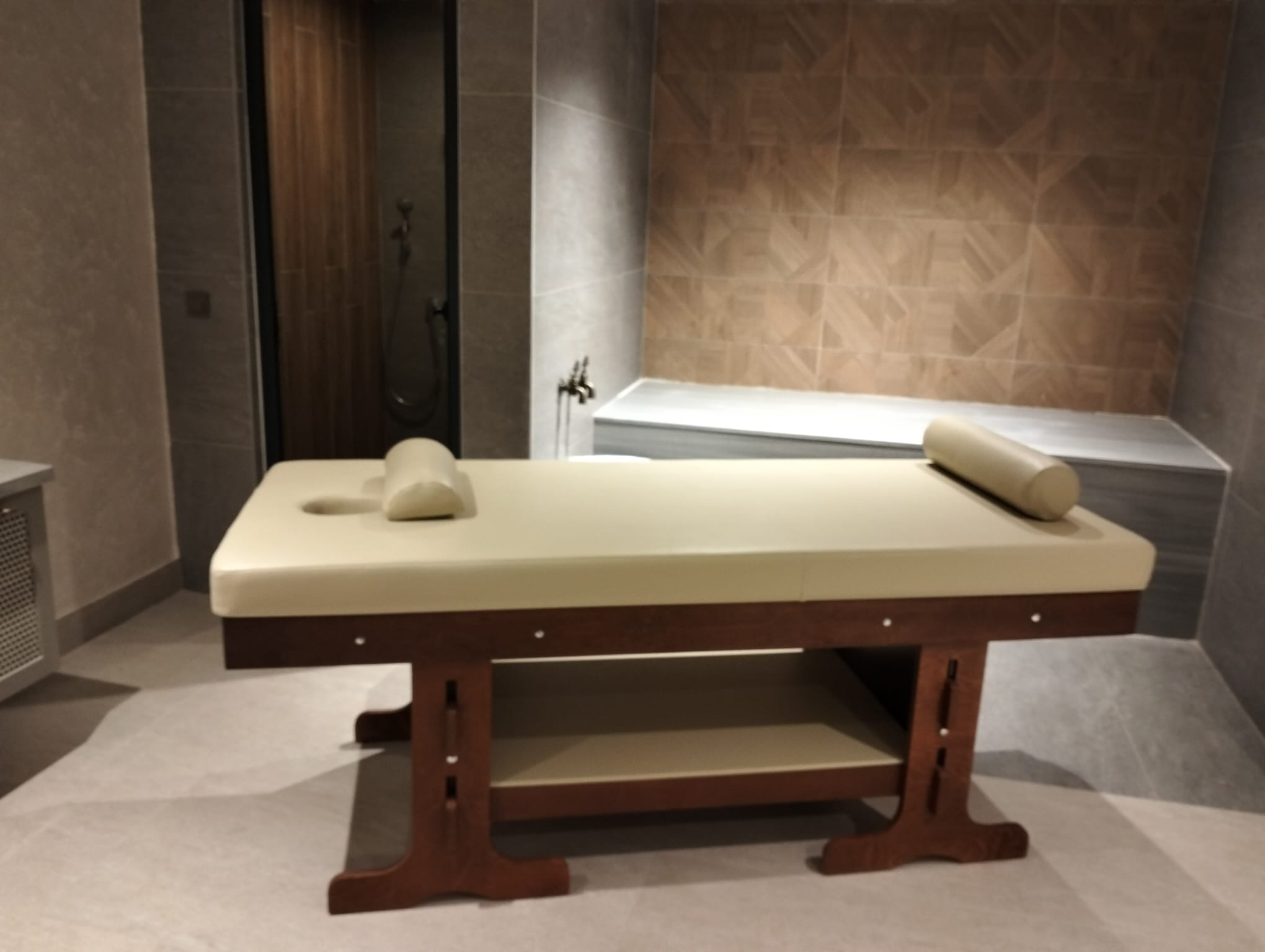 Milenyum Model