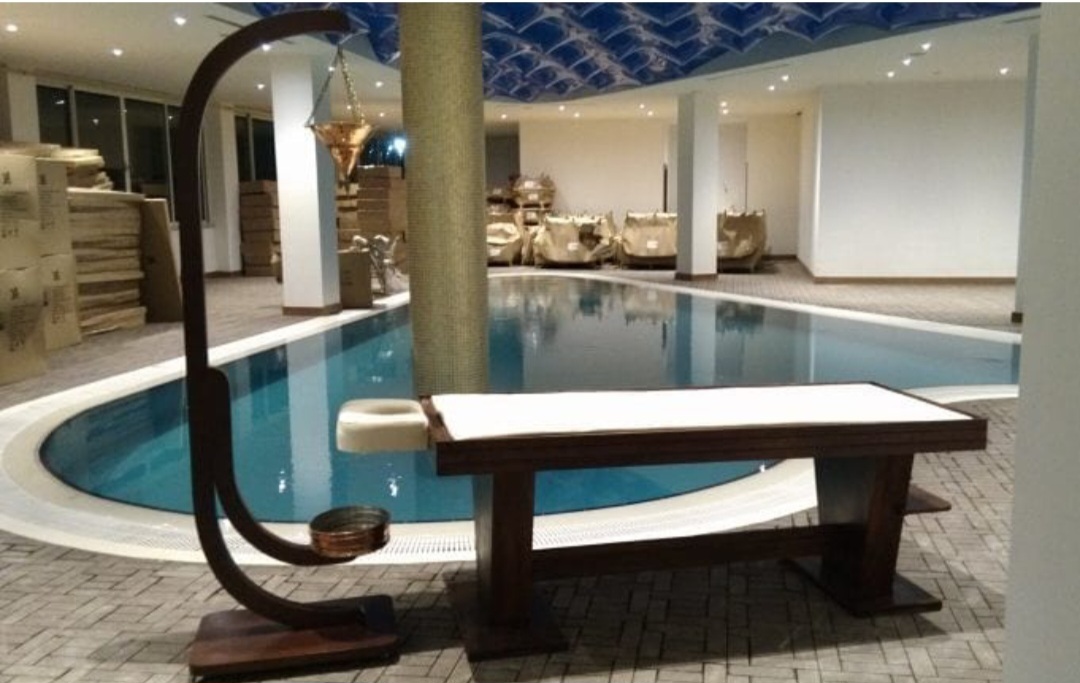 Ayurveda Model