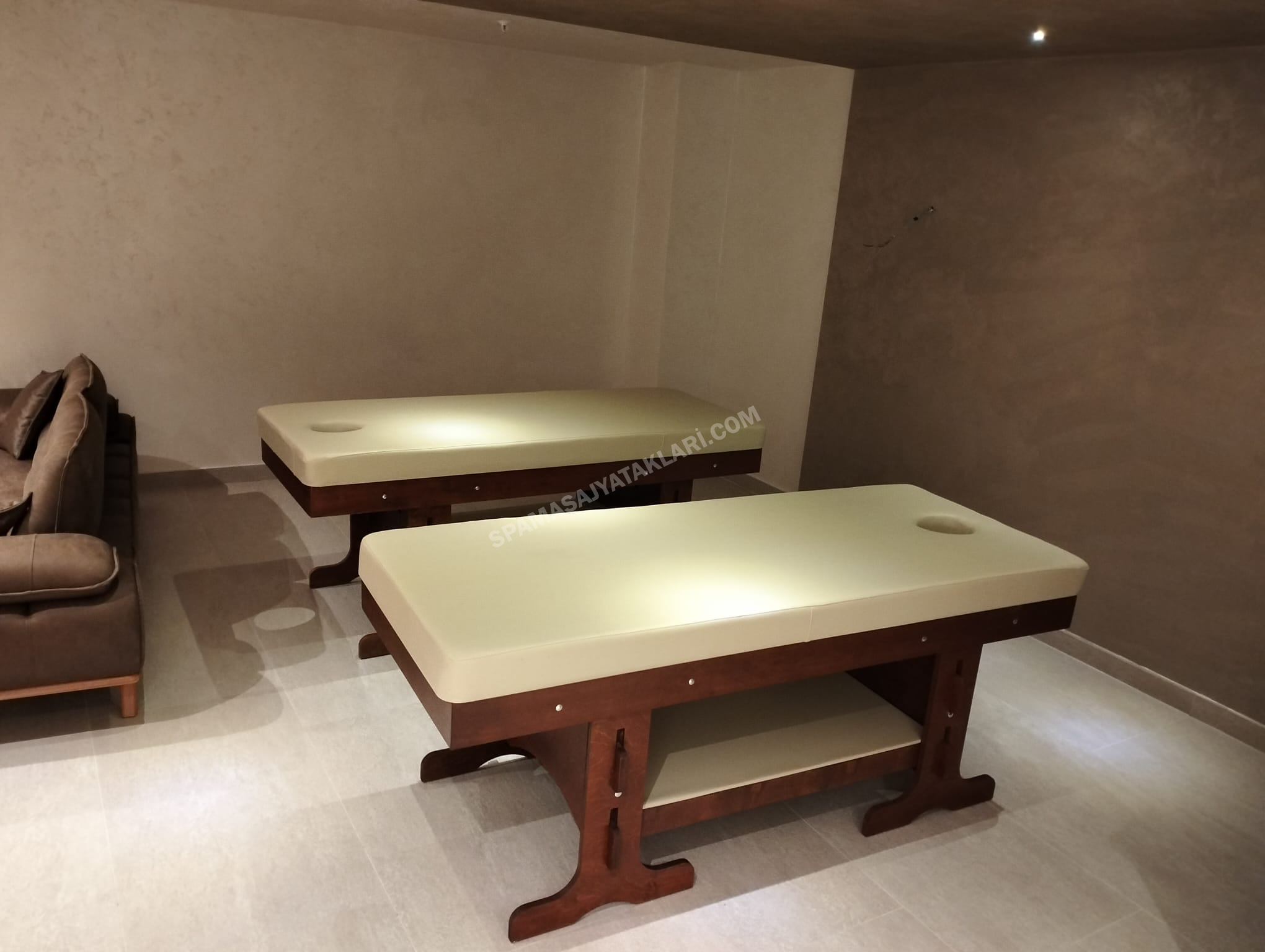 Milenyum Model