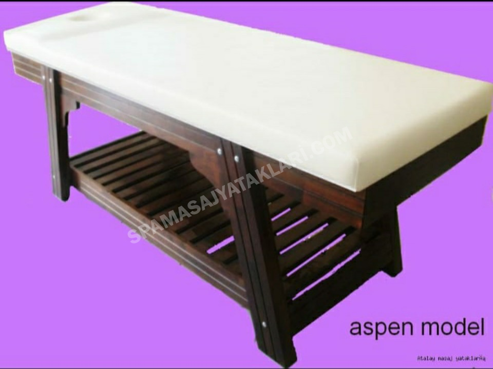 Aspen model