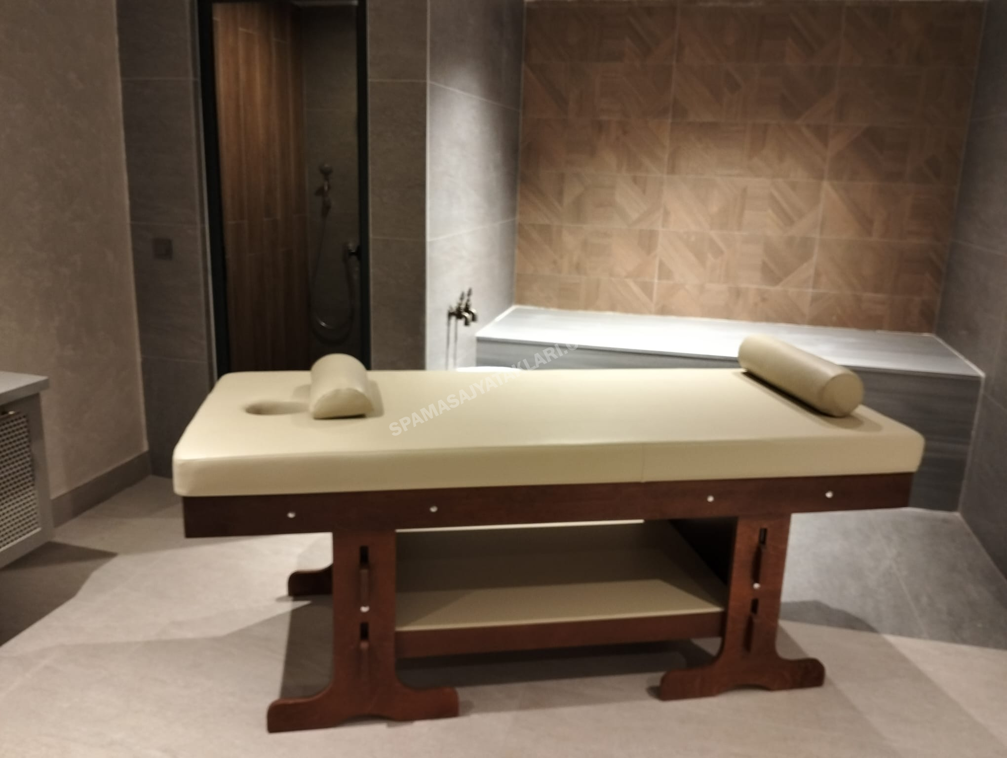 Milenyum Model